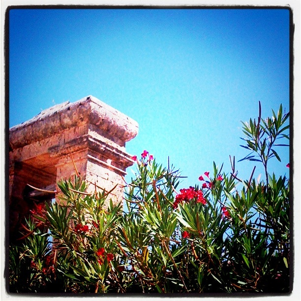 Girofle su Instagram