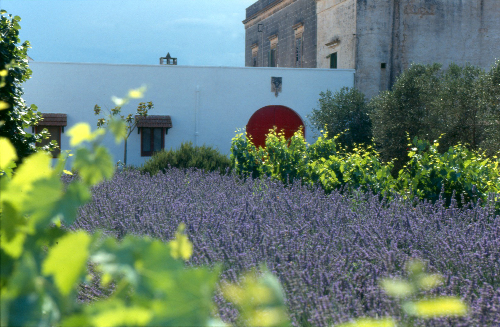 Masseria Monaci