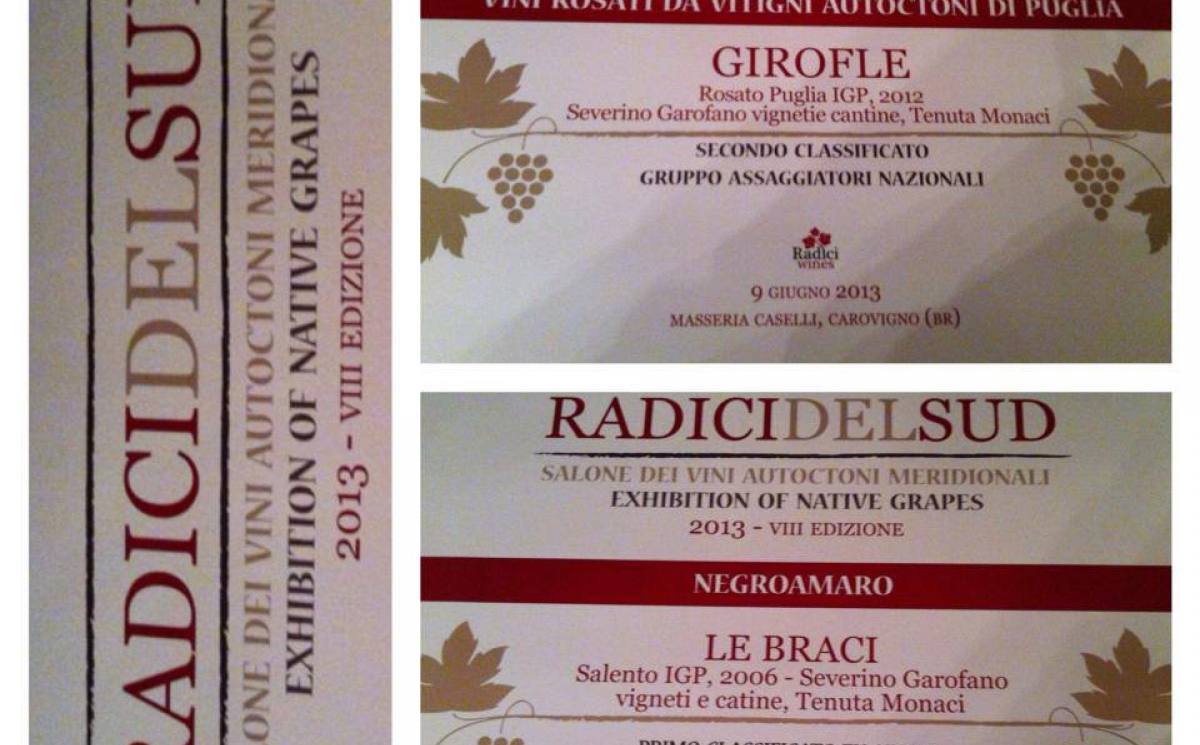 i premi di Radici del Sud 2013